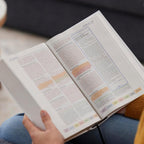 Color Coded Study Bible