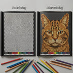 Mystery Mosaics Color by Number Coloring Book