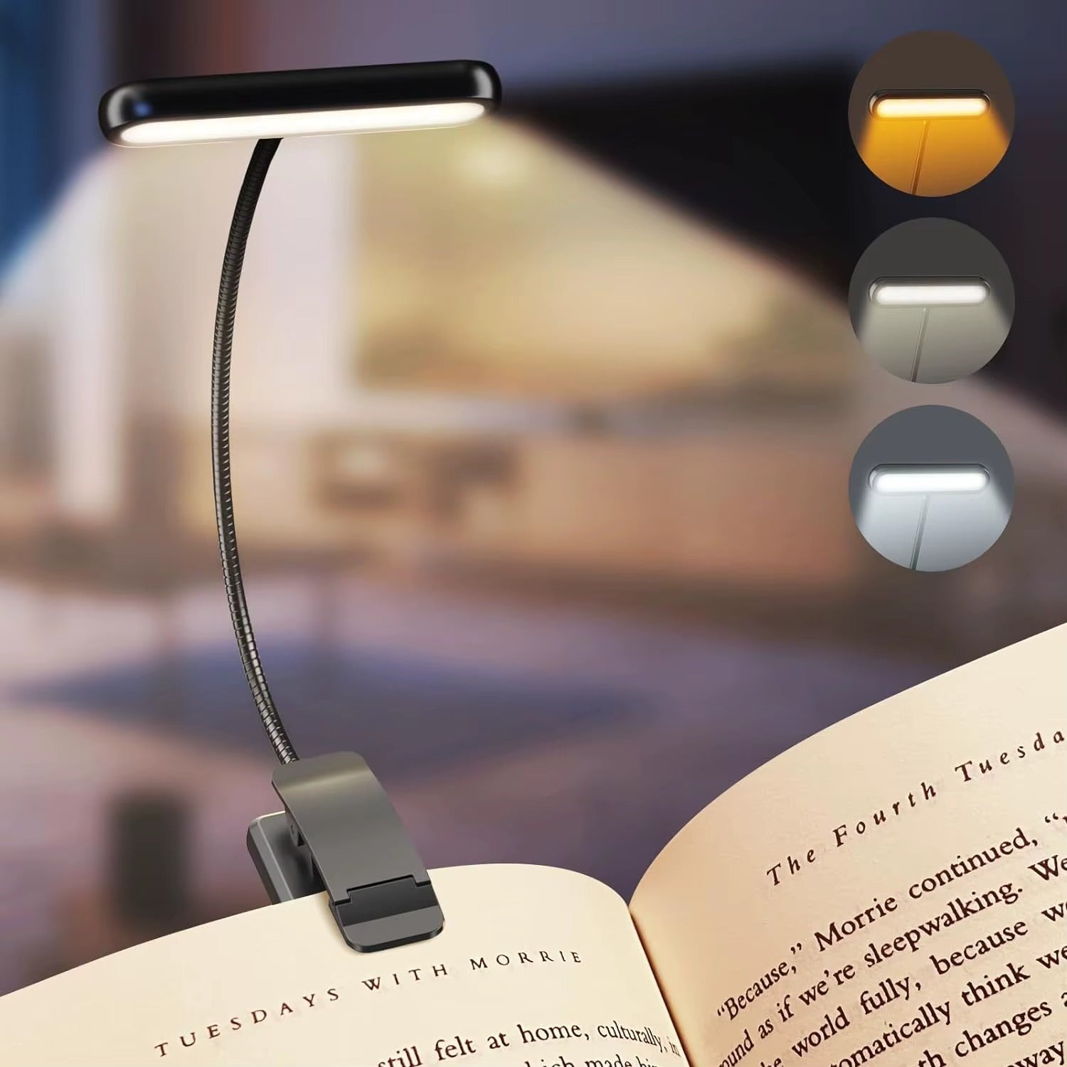 Clip-On LED Book Light